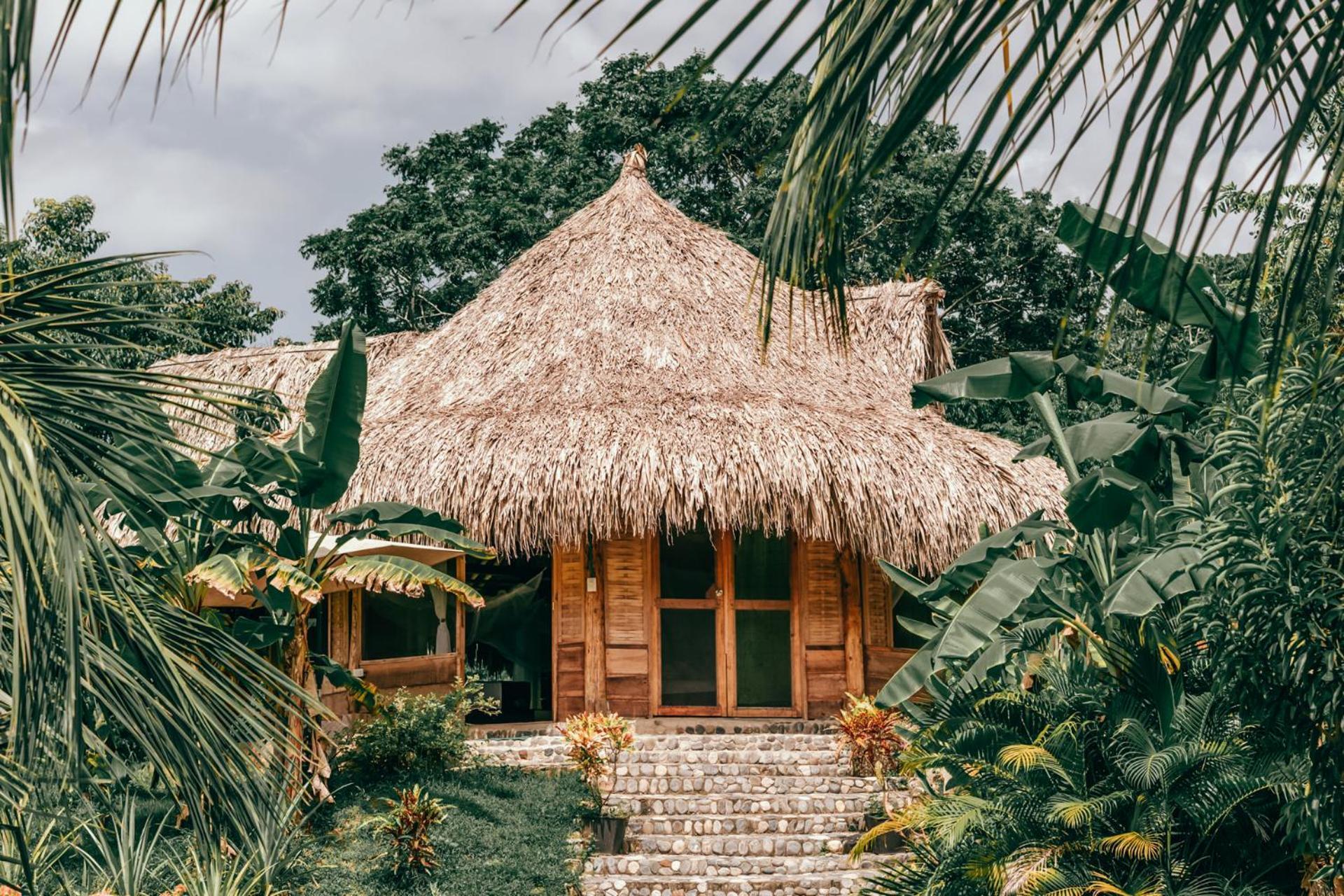 Magic Green Dentro Del Parque Tayrona El Zaino Exteriér fotografie
