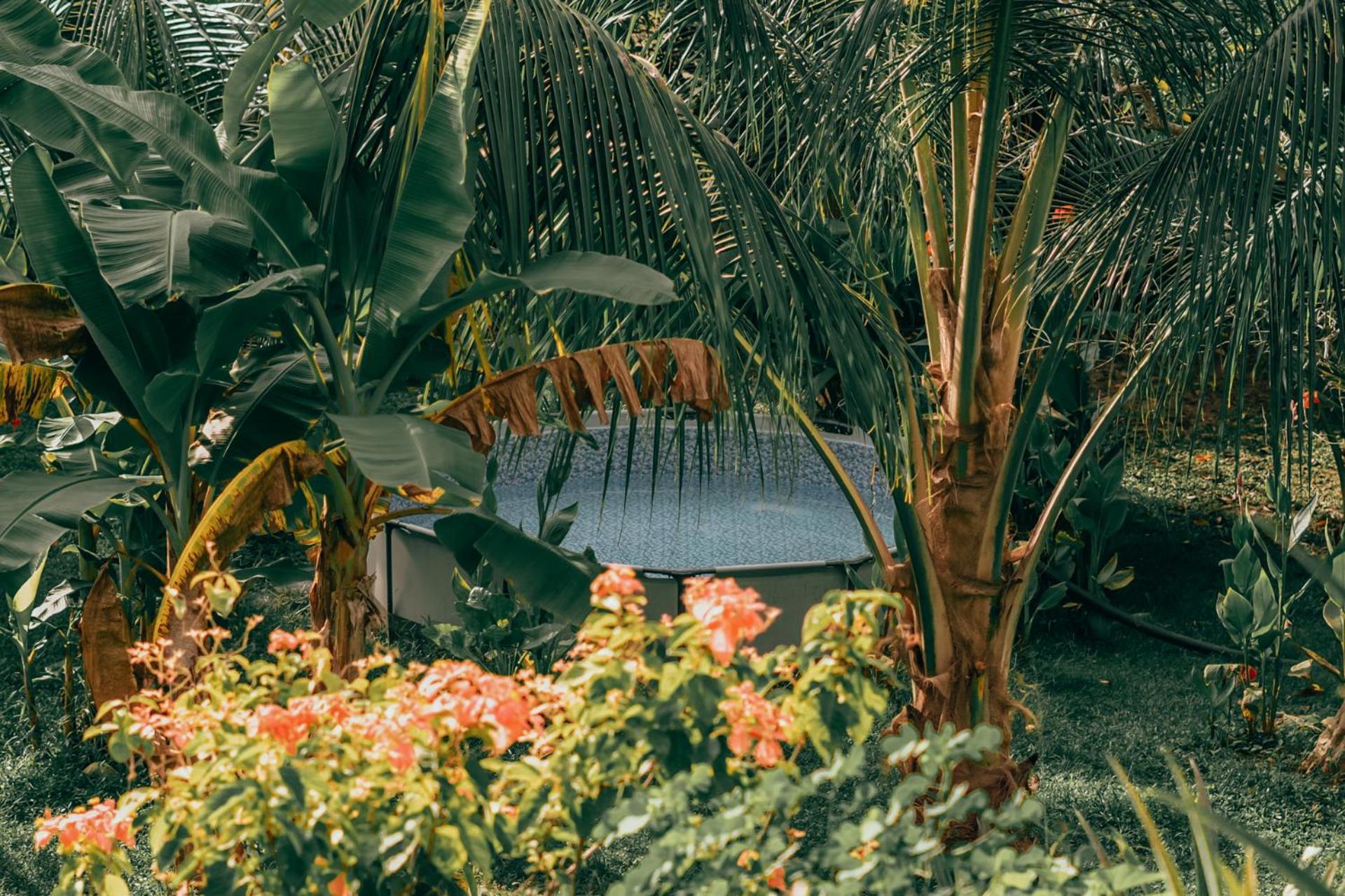 Magic Green Dentro Del Parque Tayrona El Zaino Exteriér fotografie